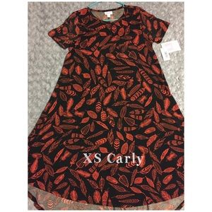 LuLaRoe XS Carly NWT - outfits available!